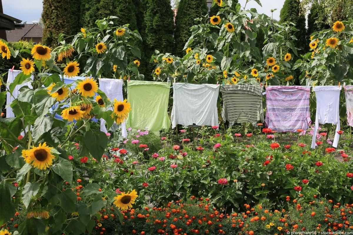 Cottagecore: Die neue Sehnsucht nach dem Landleben Cottagecore: Die neue Sehnsucht nach dem Landleben