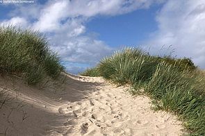 Ein kurzer Spaziergang über die Dünen…
