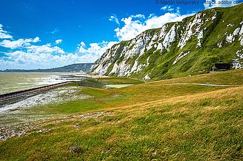 Samphire Hoe: Vom Tunnelbau zum Naturschutzgebiet
