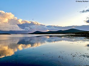 Carcass Bay, Falklandinseln