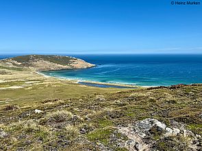 Carcass Bay, Falklandinseln