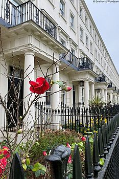 Pimlico – mehr als die Tate Britain! Pimlico – mehr als die Tate Britain!