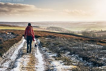 Von Eisbaden bis Spazierengehen: Wie die Briten den Januar feiern