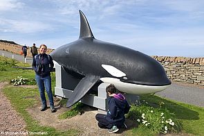 Ganz im Süden der Insel haben wir diesen lebensgroßen Orca entdeckt