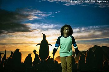 Ein Junge ist in der Ausstellung BBC Earth Experience umgeben von einem Pinguin-Panorama-Bild.