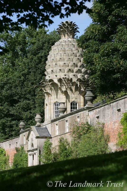 The Pineapple
