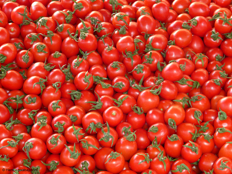 Die Woche der Tomate