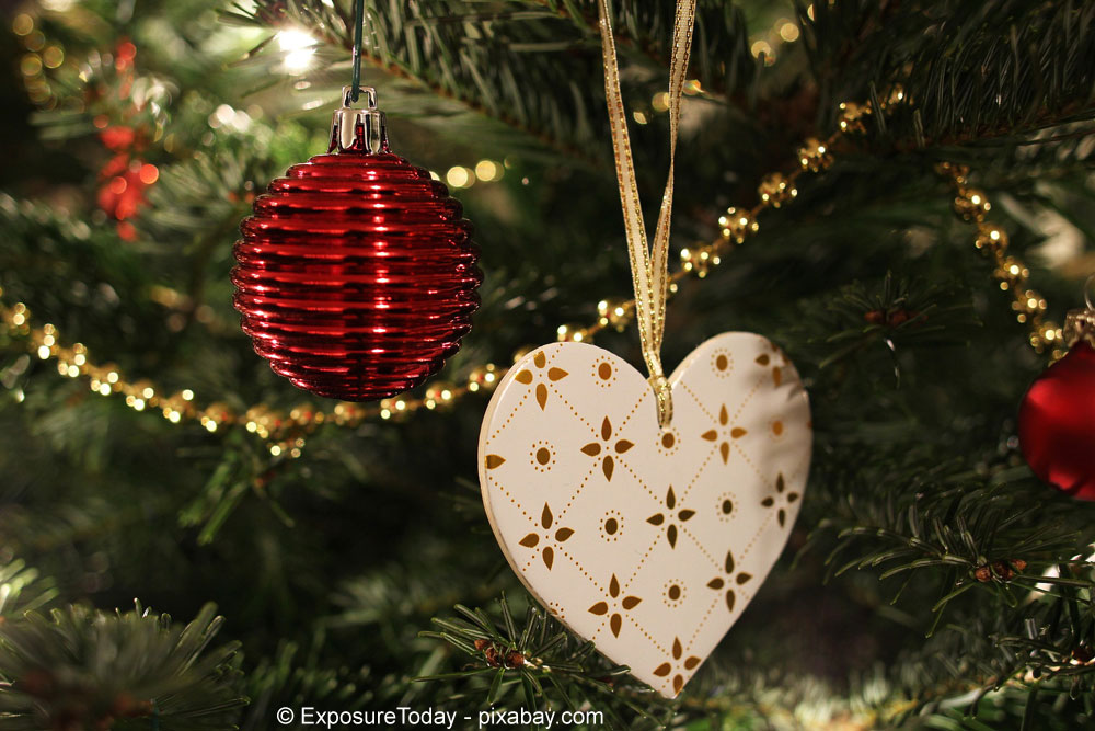 Christmas Tree: In Irland kommt der Weihnachtsbaum ins Haus