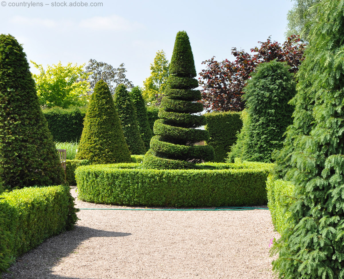 Mit Liebe zurechtgestutzt: Die Briten lieben Formschnitt im Garten  