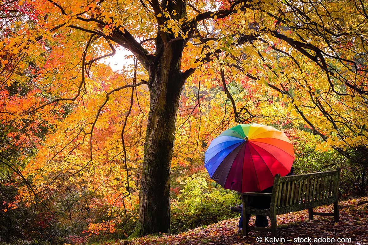 Großer Baum mit herbstlich gelb-gefärbten Blättern, auf einer Parkbank sitzt jemand mit einem Schirm in Regenbogenfarben