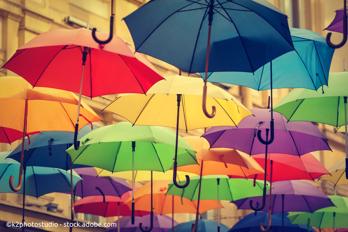 Unter dem Regenschirm: Geschichten um einen nützlichen Begleiter