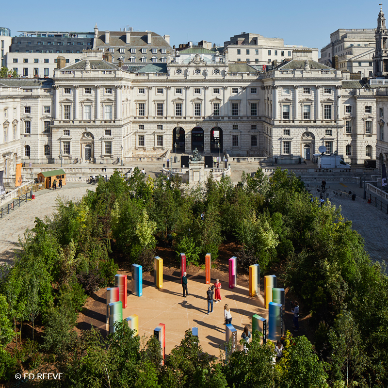 Somerset House: Plötzlich grün – ein Pop-up-Wäldchen mitten in London
